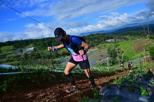 BIB: 
                            <button type="button" onclick="openModal(13381769)" class="btn btn-primary btn-sm float-right btn-popup" data-toggle="modal" data-target=".modal-high-quality">
                        <i class="fas fa-shopping-cart"></i> Add to Cart
                    </button>
                                            <button type="button" onclick="isThisMe(13381769, true)" class="btn btn-success btn-sm float-right btn-popup btn-isme hidden" data-toggle="tooltip" data-placement="bottom" title="นี่คือรูปของคุณใช่ไหม คลิกที่นี่เพื่อเอาเข้าอัลบั้ม">
                        <i class="fas fa-plus"></i> Add to album
                    </button>
                    <button type="button" onclick="isThisMe(13381769, false)" class="btn btn-warning btn-sm float-right btn-popup btn-isnotme hidden">
                        <i class="fas fa-ban"></i> Remove from album
                    </button>